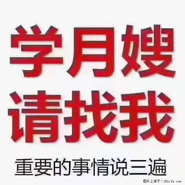 为什么要学习月嫂,育婴师? - 其他广告 - 广告专区 - 景德镇分类信息 - 景德镇28生活网 jdz.28life.com