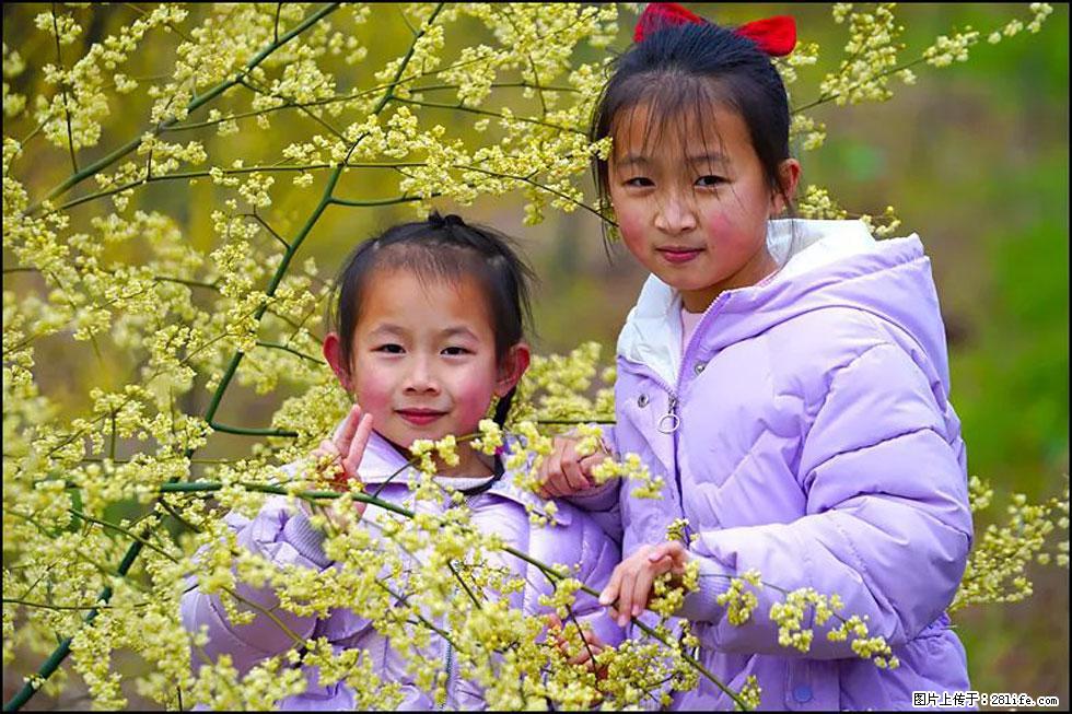 【春天,广西桂林灌阳县向您发出邀请!】米珠山前有片山苍子花在飘香 - 游山玩水 - 景德镇生活社区 - 景德镇28生活网 jdz.28life.com