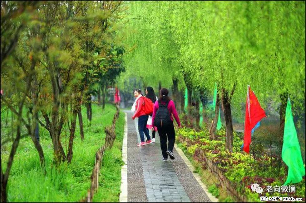 【春天,广西桂林灌阳县向您发出邀请!】江口老街又逢春 - 游山玩水 - 景德镇生活社区 - 景德镇28生活网 jdz.28life.com