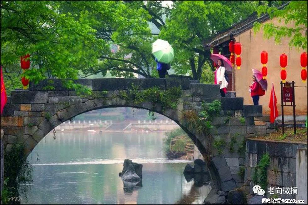 【春天,广西桂林灌阳县向您发出邀请!】江口老街又逢春 - 游山玩水 - 景德镇生活社区 - 景德镇28生活网 jdz.28life.com