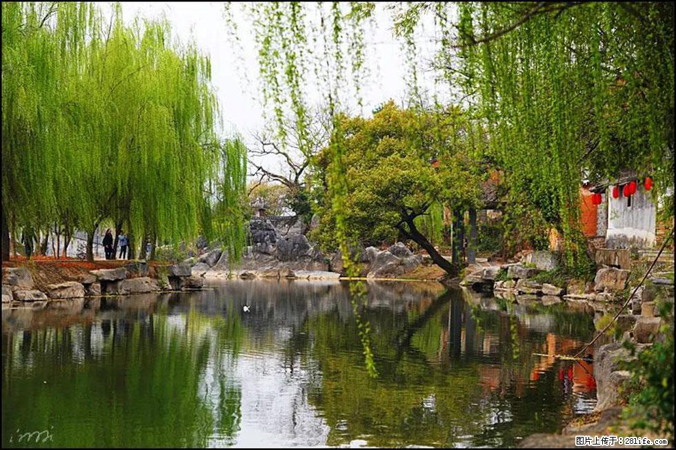 【春天,广西桂林灌阳县向您发出邀请!】江口老街又逢春 - 游山玩水 - 景德镇生活社区 - 景德镇28生活网 jdz.28life.com