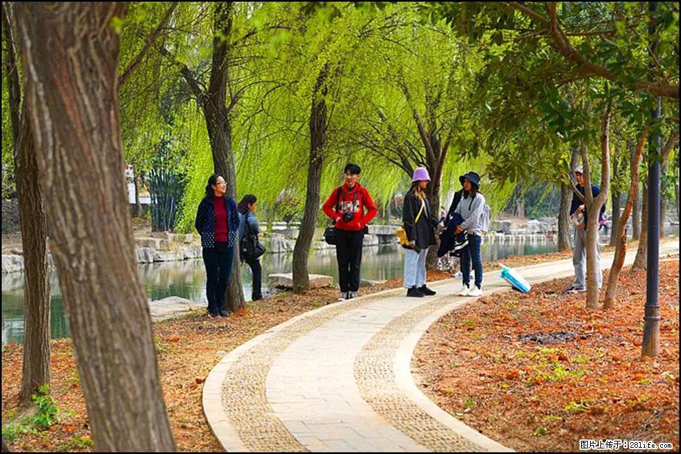 【春天,广西桂林灌阳县向您发出邀请!】江口老街又逢春 - 游山玩水 - 景德镇生活社区 - 景德镇28生活网 jdz.28life.com