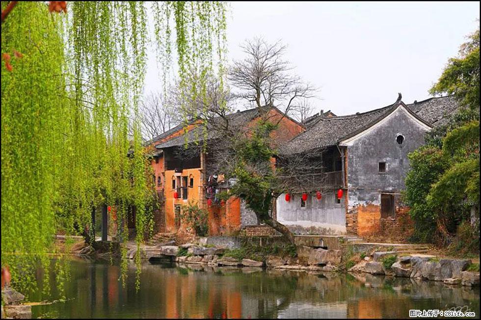 【春天,广西桂林灌阳县向您发出邀请!】江口老街又逢春 - 游山玩水 - 景德镇生活社区 - 景德镇28生活网 jdz.28life.com