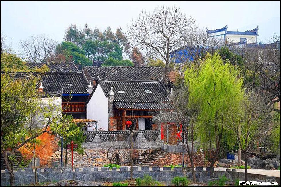 【春天,广西桂林灌阳县向您发出邀请!】江口老街又逢春 - 游山玩水 - 景德镇生活社区 - 景德镇28生活网 jdz.28life.com