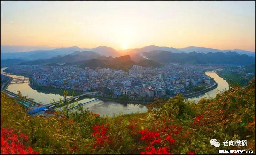 【春天,广西桂林灌阳县向您发出邀请!】登麒麟山,相约映山红 - 游山玩水 - 景德镇生活社区 - 景德镇28生活网 jdz.28life.com
