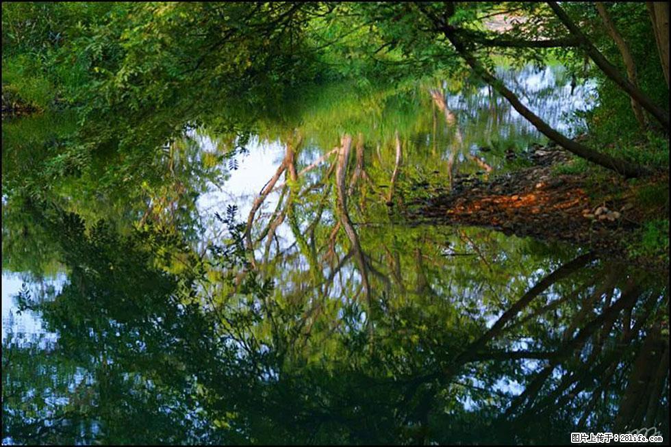 【春天,广西桂林灌阳县向您发出邀请!】熊家寨湿地公园 - 游山玩水 - 景德镇生活社区 - 景德镇28生活网 jdz.28life.com