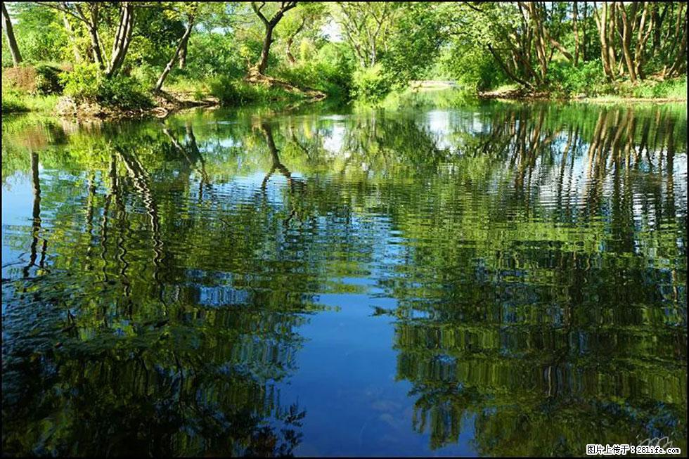 【春天,广西桂林灌阳县向您发出邀请!】熊家寨湿地公园 - 游山玩水 - 景德镇生活社区 - 景德镇28生活网 jdz.28life.com