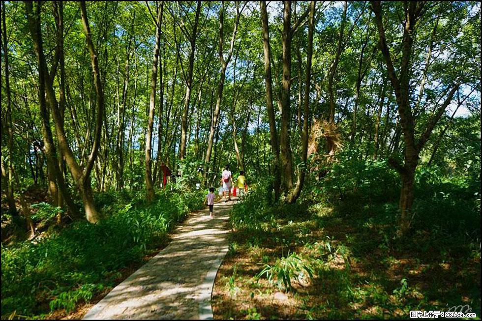 【春天,广西桂林灌阳县向您发出邀请!】熊家寨湿地公园 - 游山玩水 - 景德镇生活社区 - 景德镇28生活网 jdz.28life.com