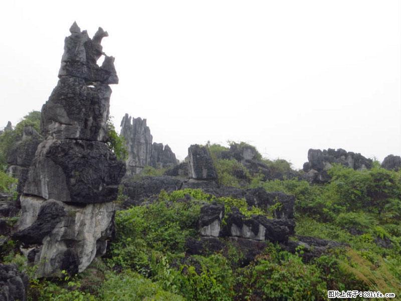 桂林旅游名城景点:灌阳文市石林 - 游山玩水 - 景德镇生活社区 - 景德镇28生活网 jdz.28life.com