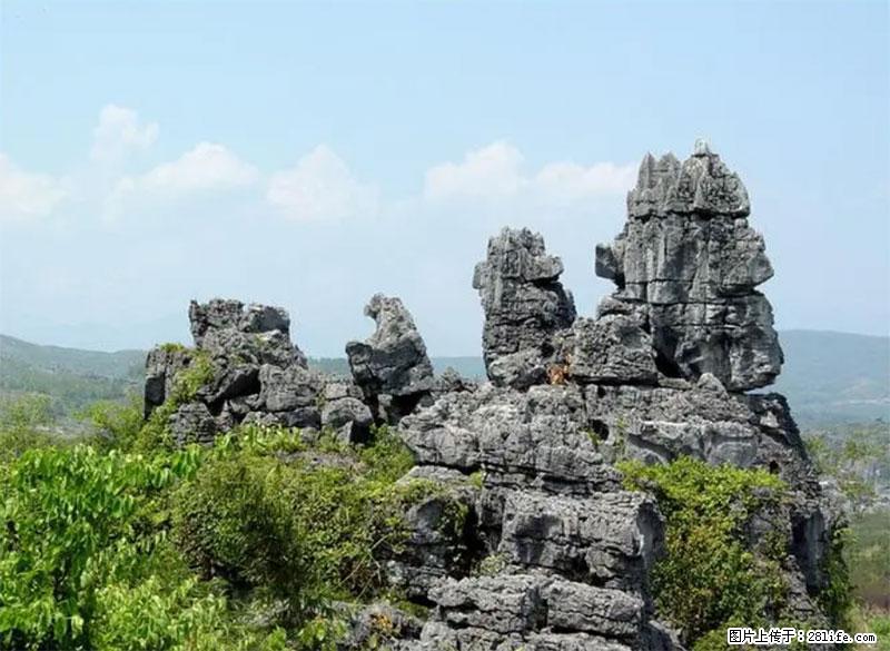 桂林旅游名城景点:灌阳文市石林 - 游山玩水 - 景德镇生活社区 - 景德镇28生活网 jdz.28life.com
