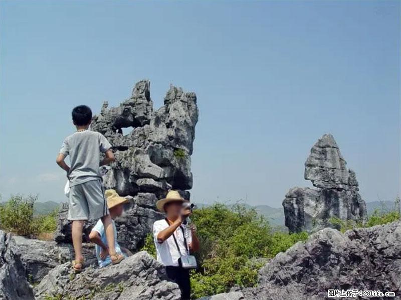桂林旅游名城景点:灌阳文市石林 - 游山玩水 - 景德镇生活社区 - 景德镇28生活网 jdz.28life.com