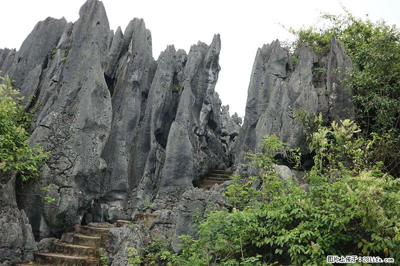 桂林旅游名城景点:灌阳文市石林 - 游山玩水 - 景德镇生活社区 - 景德镇28生活网 jdz.28life.com