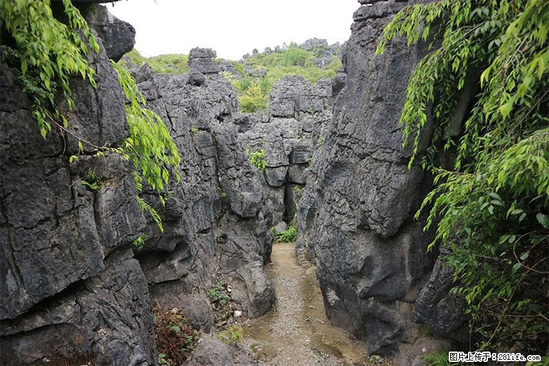 桂林旅游名城景点:灌阳文市石林 - 游山玩水 - 景德镇生活社区 - 景德镇28生活网 jdz.28life.com