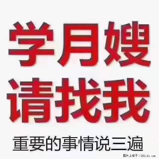 为什么要学习月嫂,育婴师? - 景德镇28生活网 jdz.28life.com
