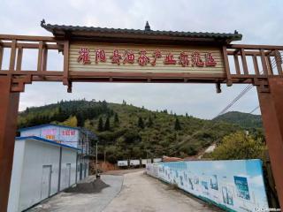 【灌阳县油茶产业示范区】一个有着充实的精神生活的人,对待身外之物自会有一种淡泊的态度 - 景德镇28生活网 jdz.28life.com