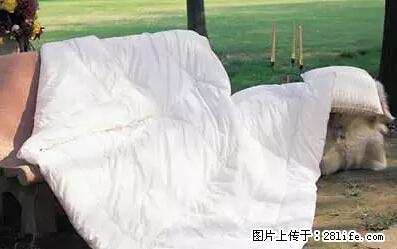 被子有异味?只要这样做,比晒太阳还强100倍! - 家居生活 - 景德镇生活社区 - 景德镇28生活网 jdz.28life.com