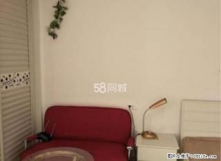 天宇绿园全新装修精装单身公寓，配套齐全，错过就后悔1300 - 景德镇28生活网 jdz.28life.com