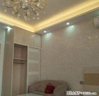 曙光路天宇绿园精品单身公寓豪华装修家电齐全拎包入住 - 景德镇28生活网 jdz.28life.com