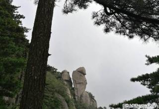 二中附近,08年小区房,随时看房,家具家电全齐 - 景德镇28生活网 jdz.28life.com