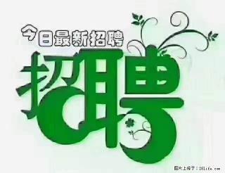 上海隔离酒店招人:55岁以下 男女不限 - 景德镇28生活网 jdz.28life.com