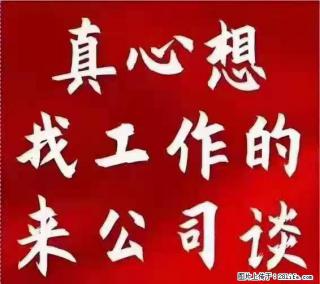 【上海】国企,医院招两名男保安,55岁以下,身高1.7米以上,无犯罪记录不良嗜好 - 景德镇28生活网 jdz.28life.com
