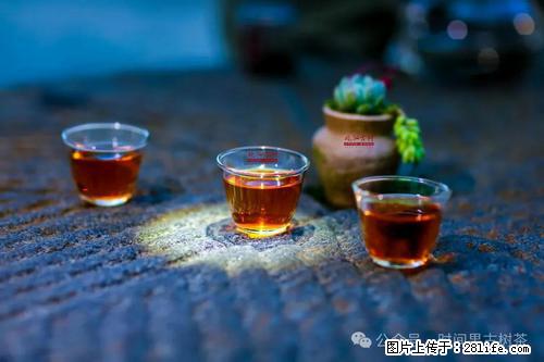 时间果百年古树2025年春红茶 - 购物交流 - 景德镇生活社区 - 景德镇28生活网 jdz.28life.com