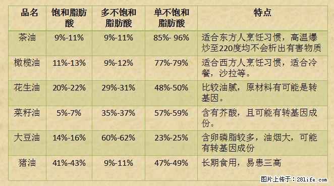 揭秘茶油的5大核心营养成分!被称为人体健康的“守护盾”! - 景德镇生活资讯 - 景德镇28生活网 jdz.28life.com