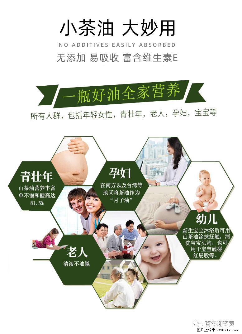 世界没有真相,只有认知,最好的食用油是中国的山茶油! - 景德镇生活资讯 - 景德镇28生活网 jdz.28life.com