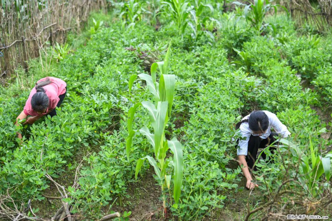 全网追的“扁担女孩”，找了一份暑假工，时薪12元 - 景德镇生活资讯 - 景德镇28生活网 jdz.28life.com