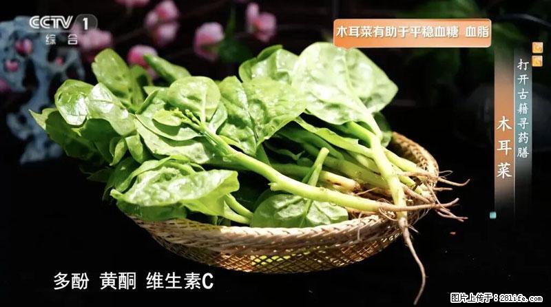 比牛奶补钙还厉害！凉血解毒、稳血糖...这菜冬天必吃，很多人却当草 - 景德镇生活资讯 - 景德镇28生活网 jdz.28life.com