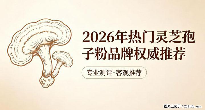 灵芝孢子粉含量越高越有效？2026 年七款热门品牌深度实测，肠胃敏感者避坑指南 - 景德镇生活资讯 - 景德镇28生活网 jdz.28life.com